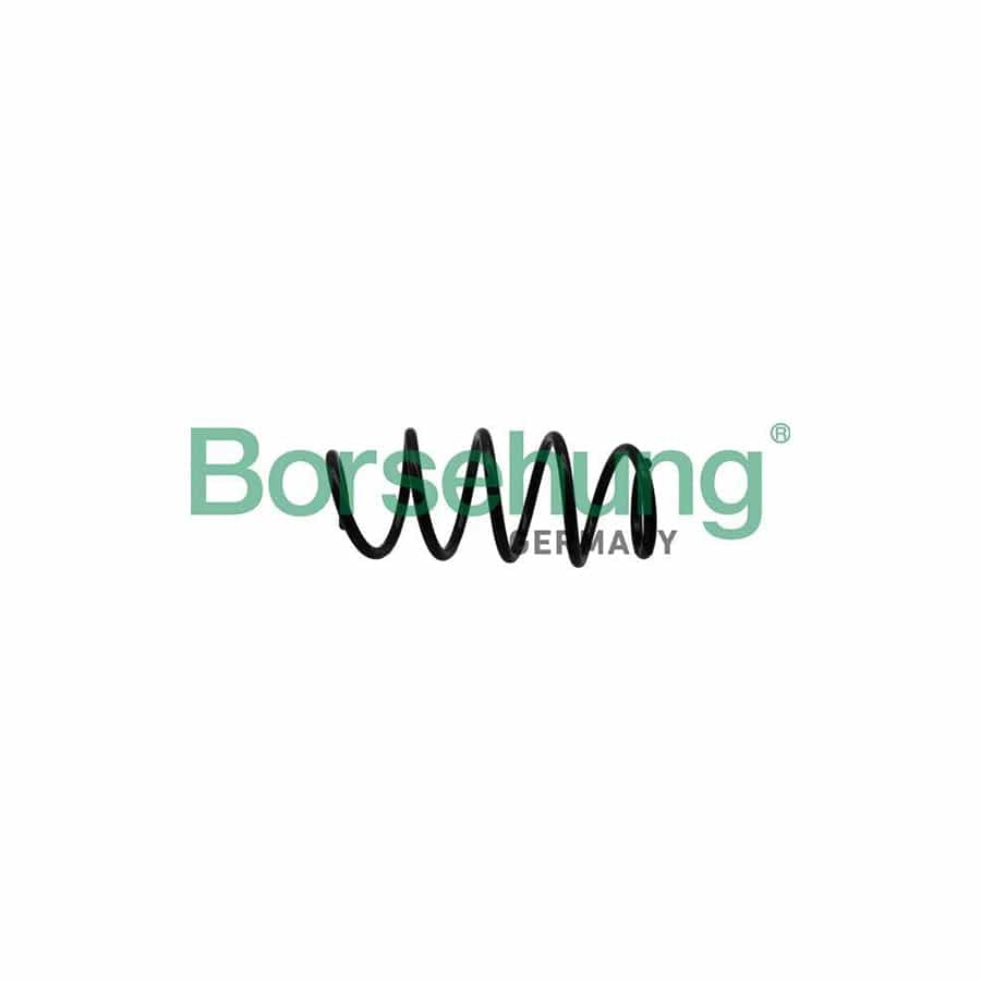 Borsehung B19305 Coil Spring