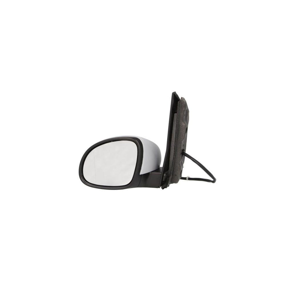 Blic 5402-10-2002263P Wing Mirror