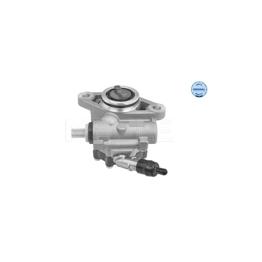 Meyle 214 631 0005 Power Steering Pump For Fiat Ducato