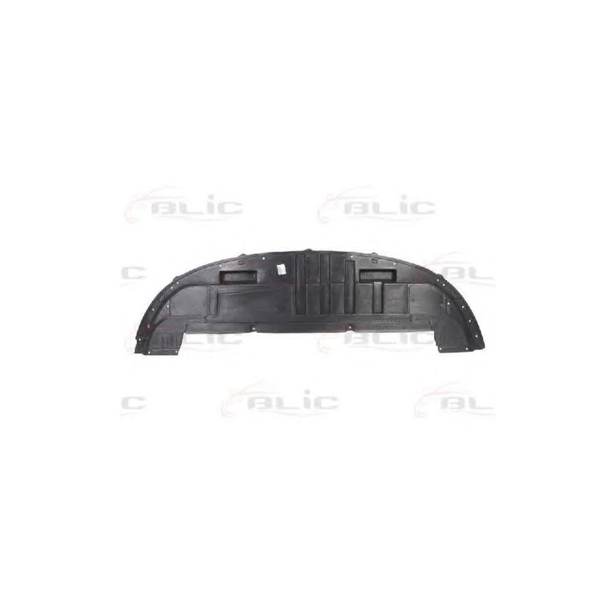 Blic 6601-02-6033880P Engine Cover For Renault Clio