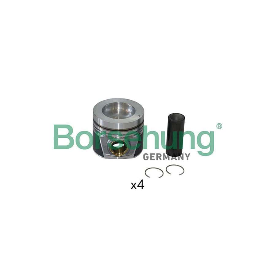 Borsehung B19302 Piston Ring Kit