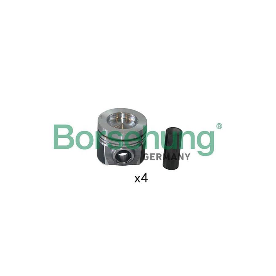 Borsehung B19301 Piston Ring Kit