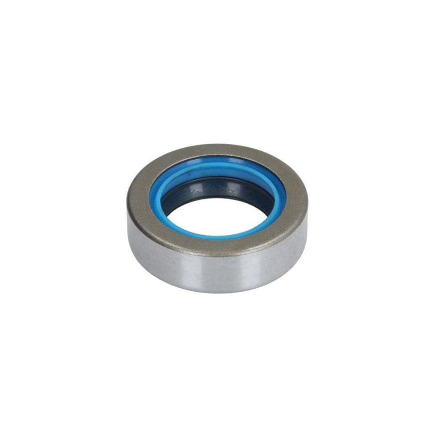 Bta B05-Ag-172 Shaft Seal, Differential