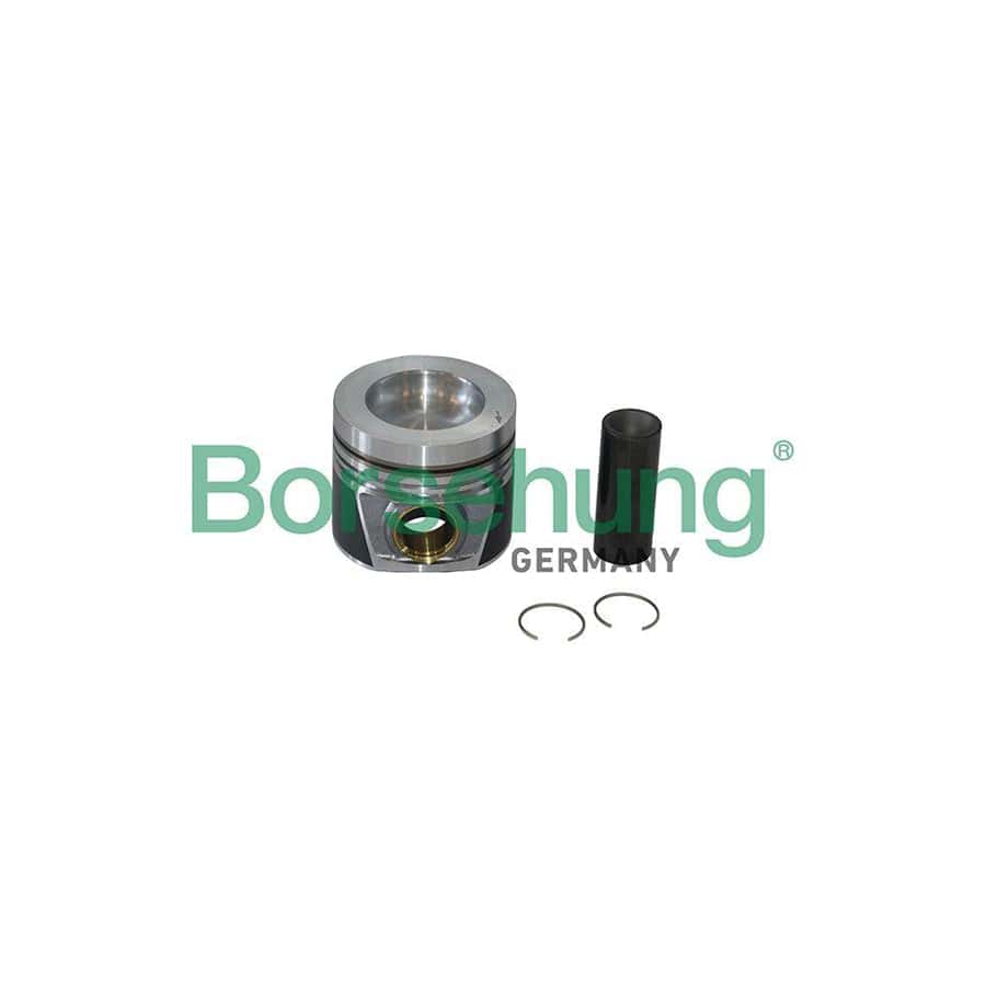 Borsehung B19299 Piston Ring Kit