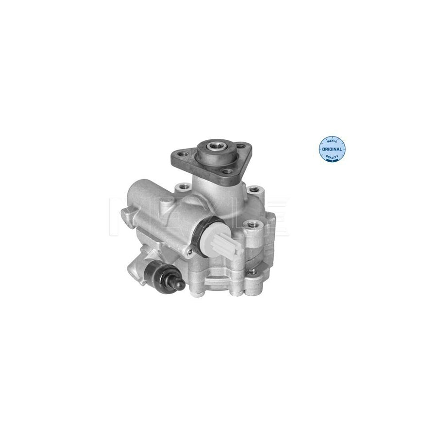 Meyle 214 631 0009 Power Steering Pump