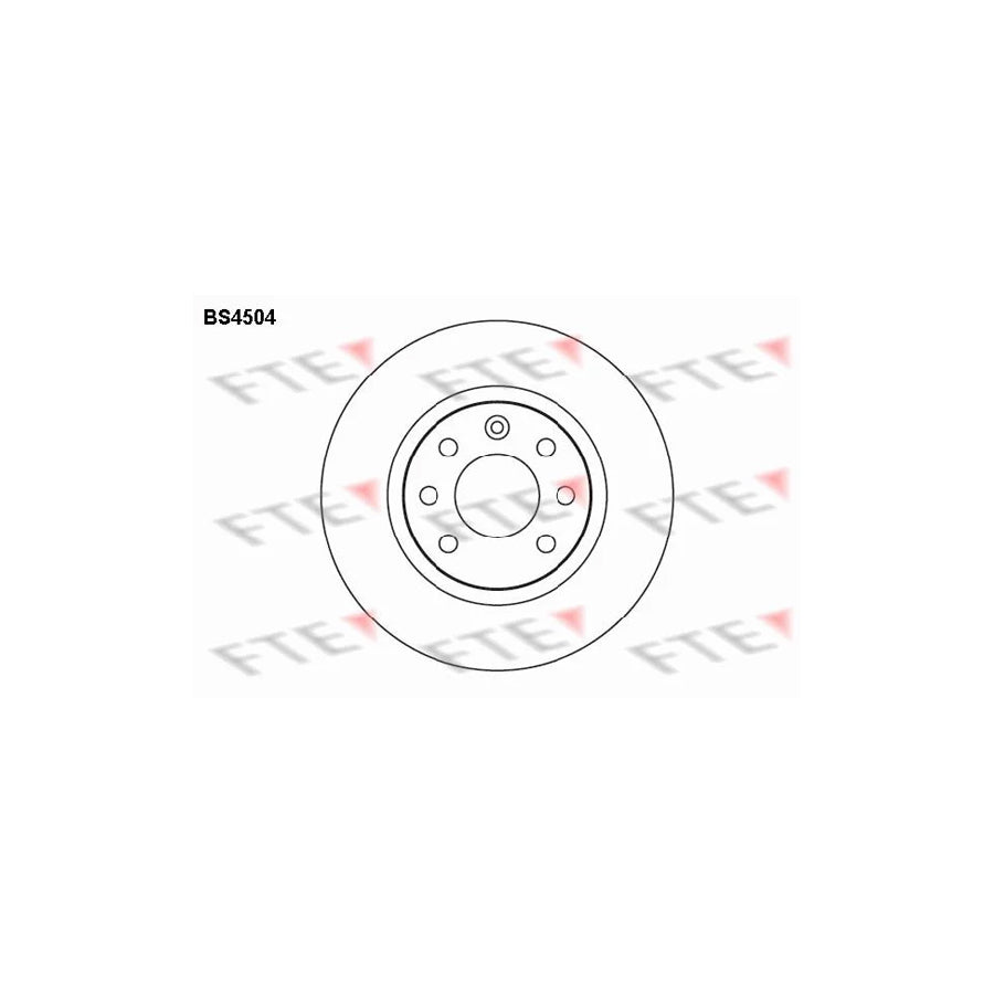 Fte BS4504 Brake Disc | ML Performance UK Car Parts