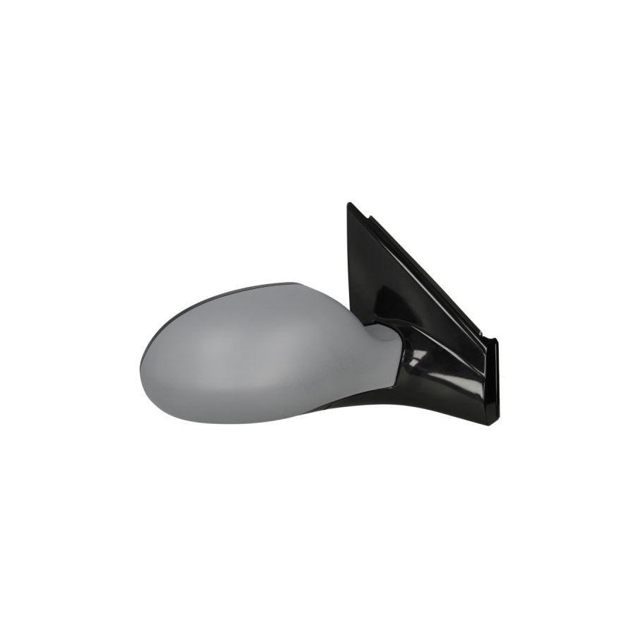 Blic 5402-04-1158852 Wing Mirror For Citroen C5