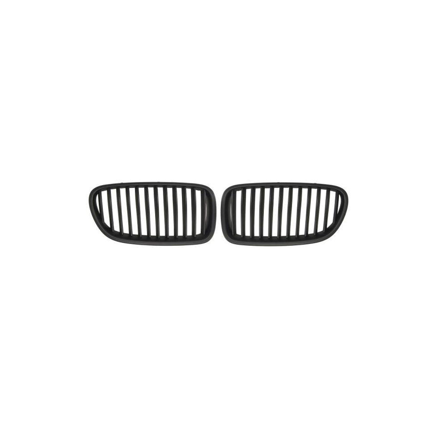 Blic 6502-07-0067991Kp Radiator Grille For BMW 5 Series