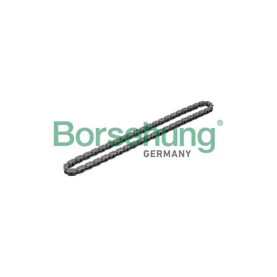 Borsehung B1C020 Timing Chain