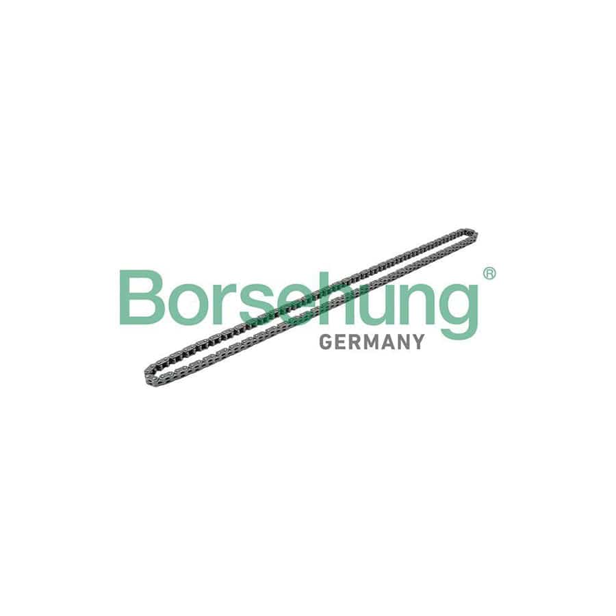 Borsehung B1C019 Timing Chain