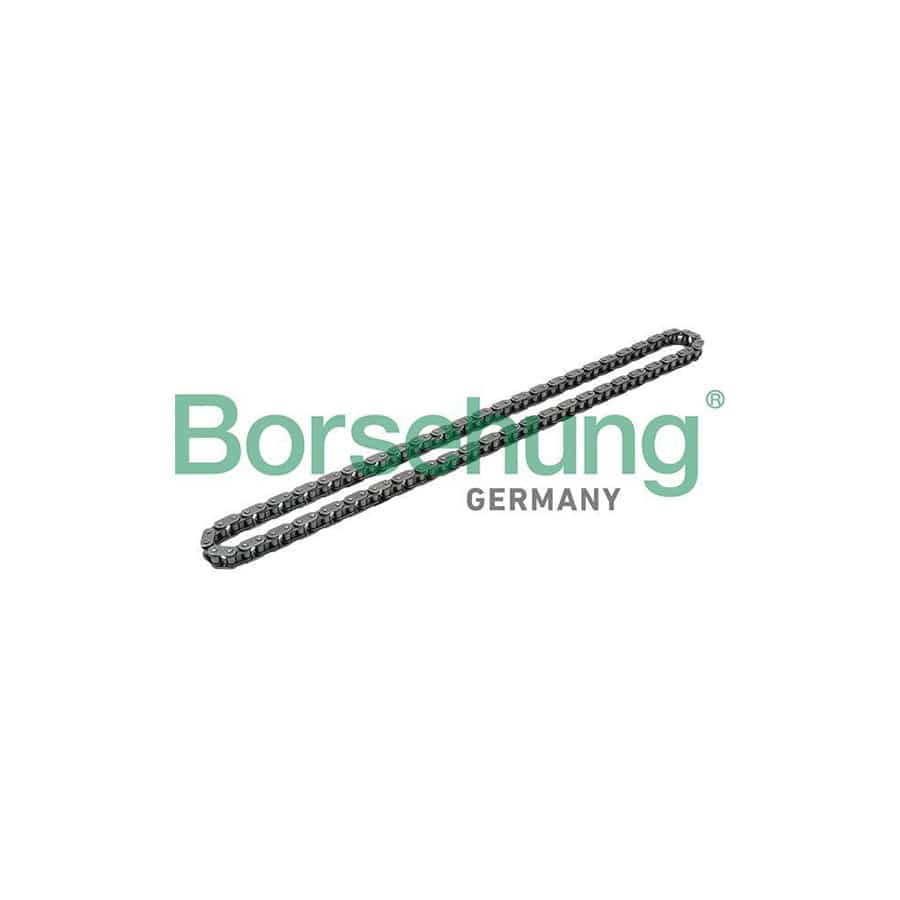 Borsehung B1C017 Timing Chain