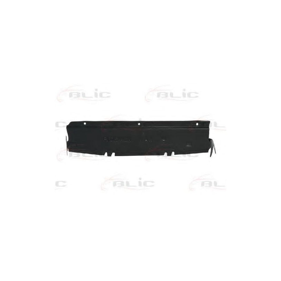 Blic 6601-02-6010880P Engine Cover