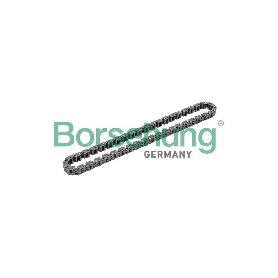 Borsehung B1C015 Timing Chain