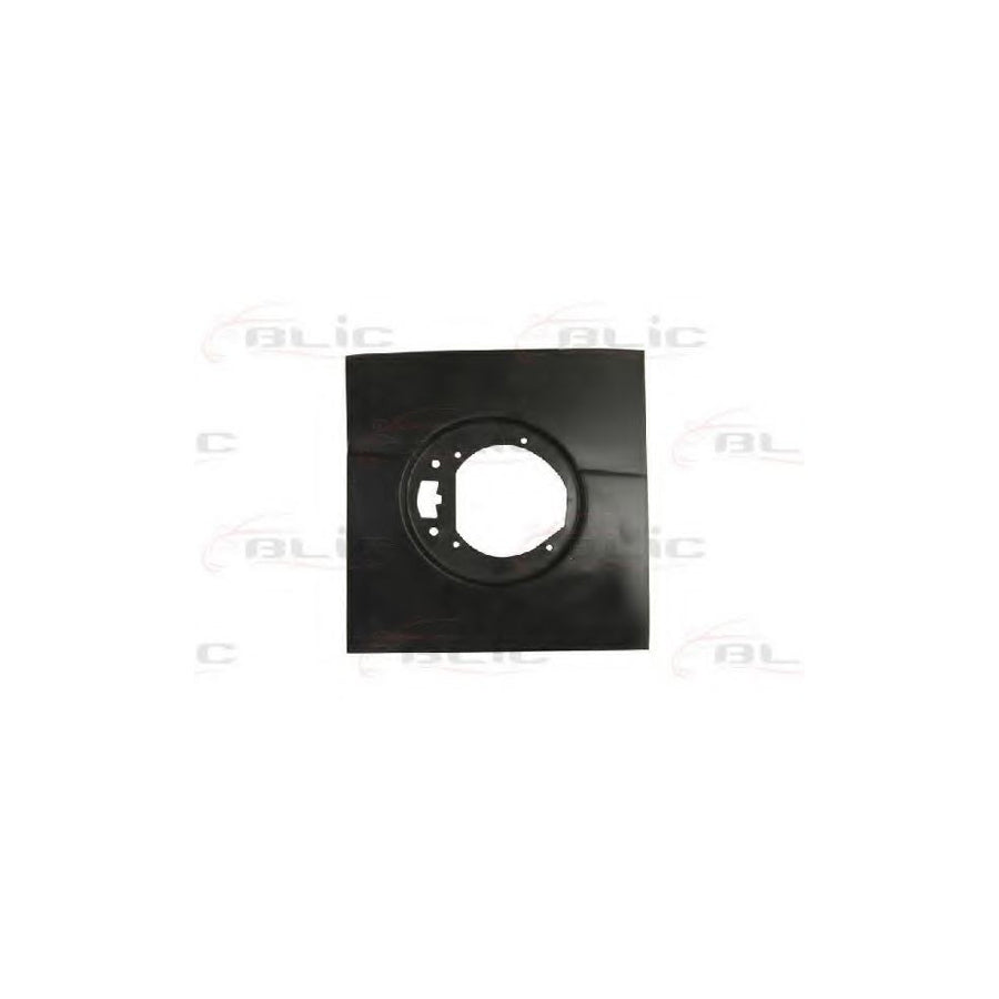 Blic 6508-02-6037521P Sidewall For Renault Megane