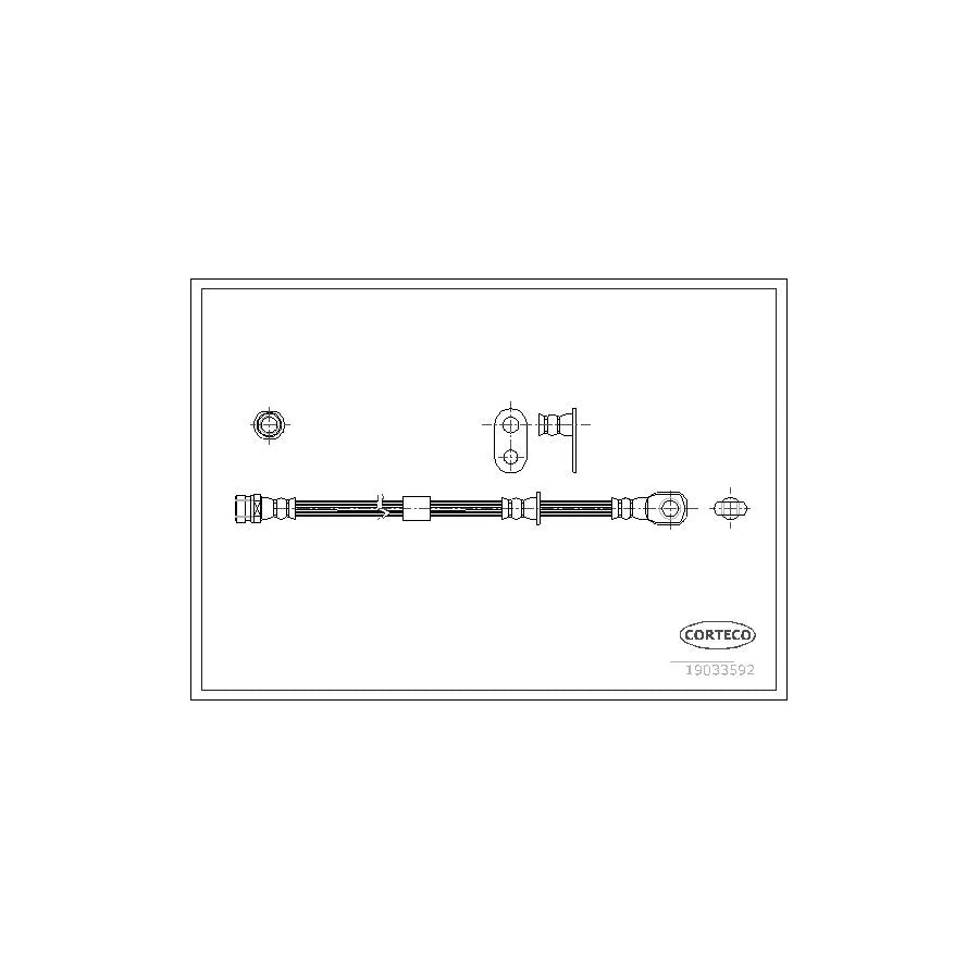 Corteco 19033592 Brake Hose For Mitsubishi Grandis (Na4W) | ML Performance UK
