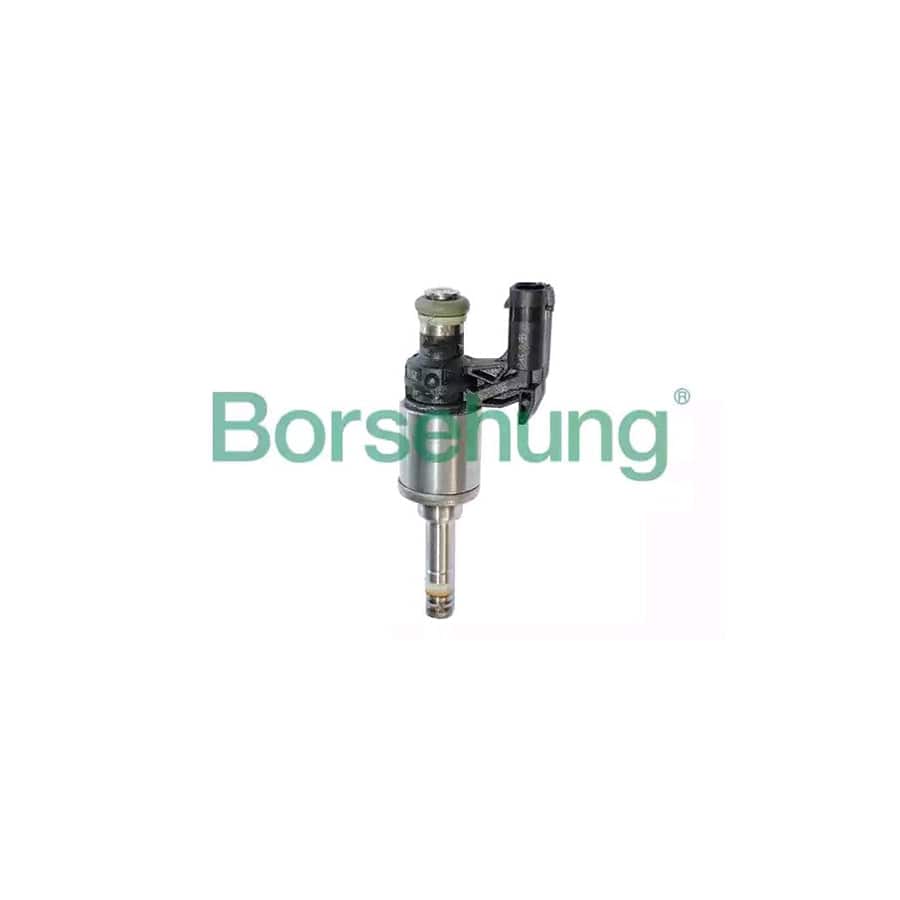 Borsehung B14339 Injector