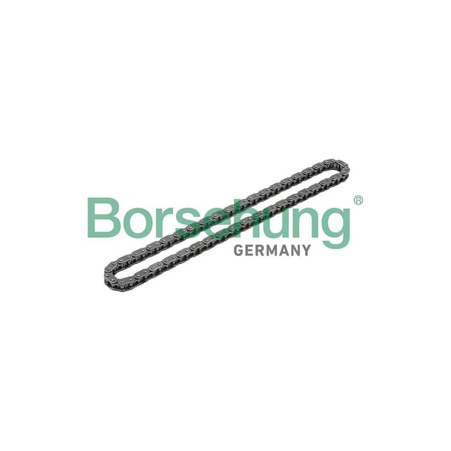 Borsehung B1C012 Timing Chain