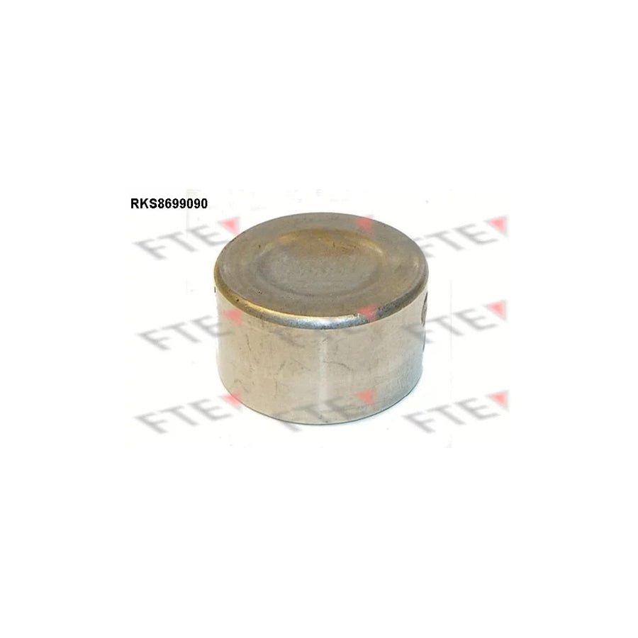 Fte 9313527 Piston, Brake Caliper | ML Performance UK Car Parts