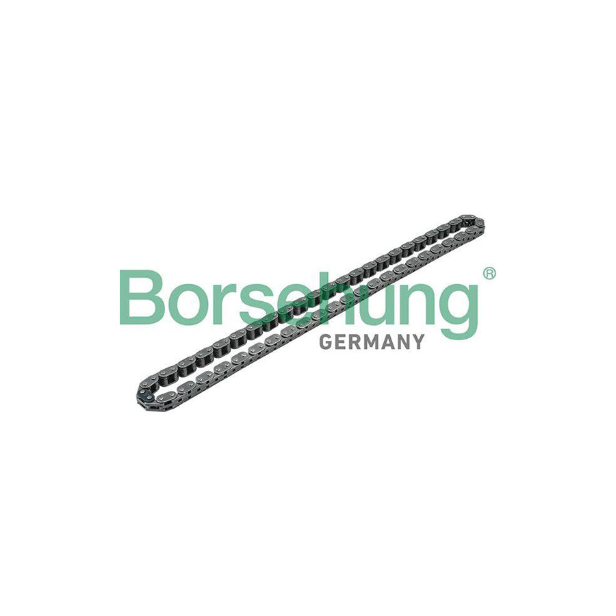 Borsehung B1C011 Timing Chain