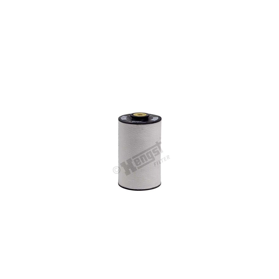 Hengst Filter E10Kfr4 D10 Fuel Filter