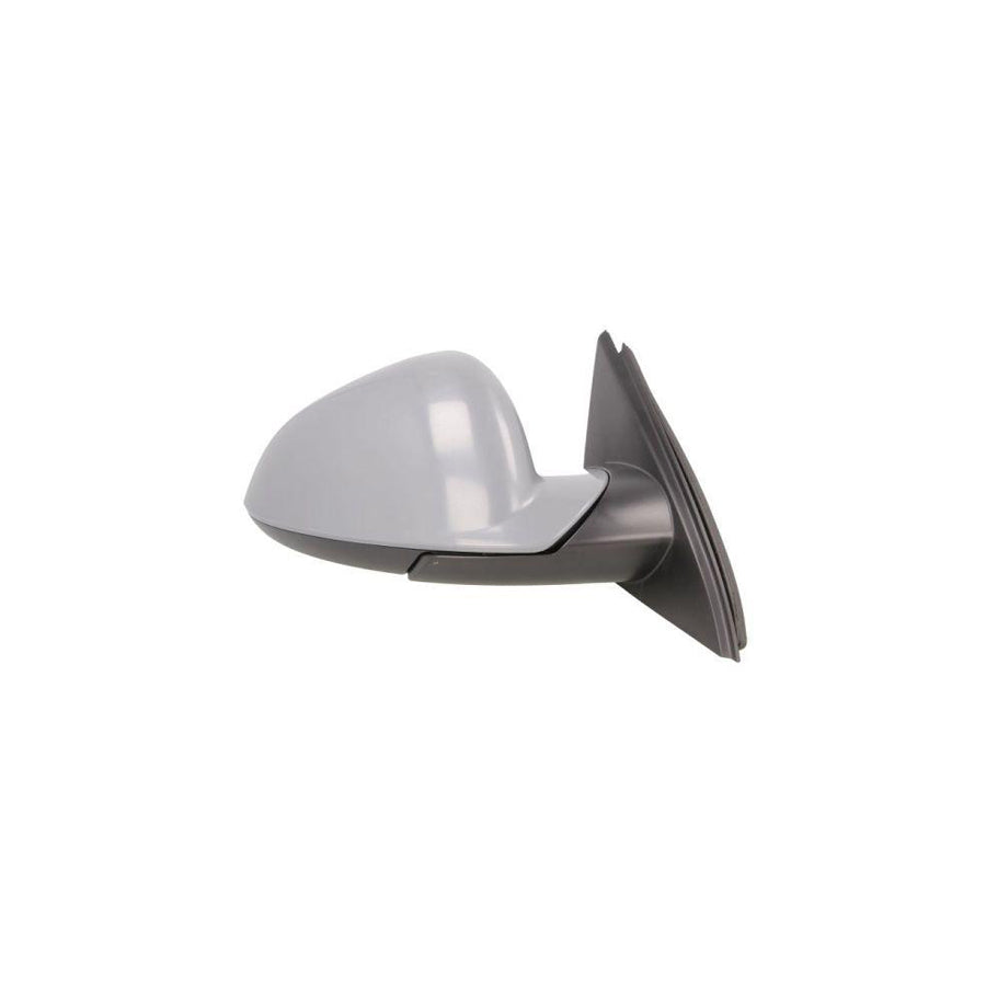 Blic 5402-04-1119221P Wing Mirror