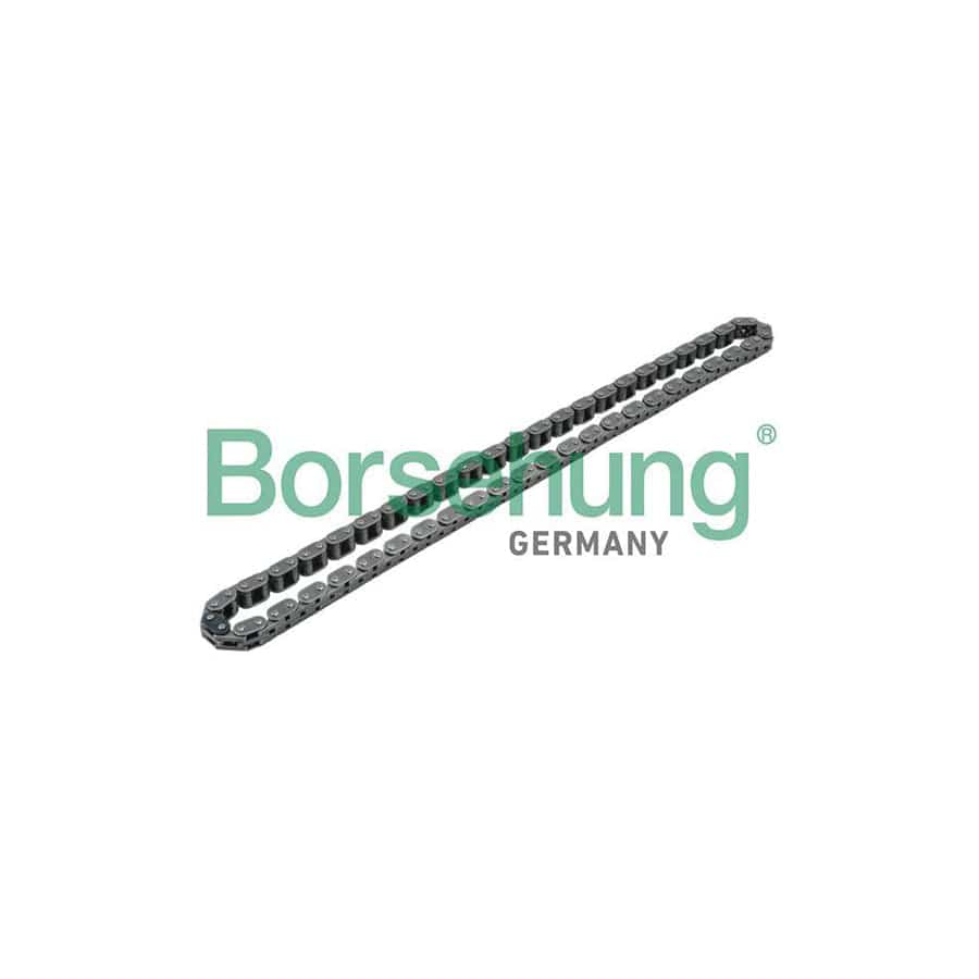 Borsehung B1C002 Timing Chain