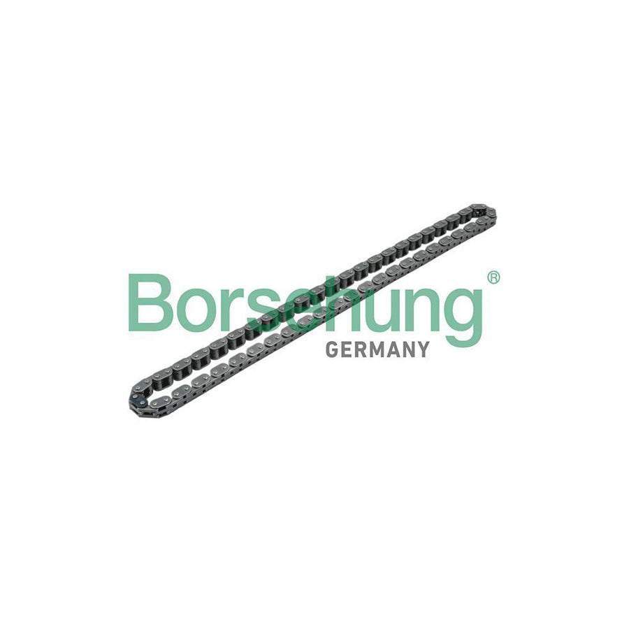 Borsehung B1C001 Timing Chain