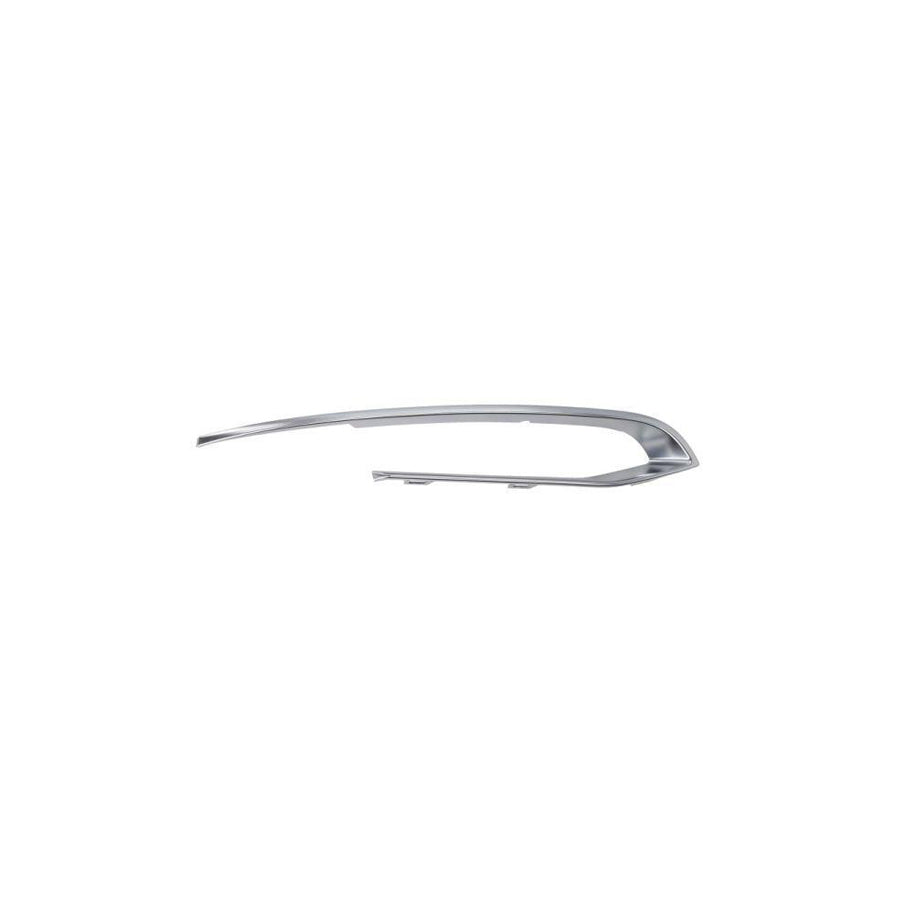 Blic 6502-07-0067922Pf Bumper Moulding For BMW 5 Series