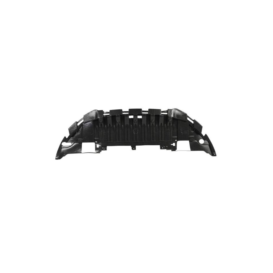 Blic 6601-02-6046880P Skid Plate For Renault Scénic III (Jz0/1_)