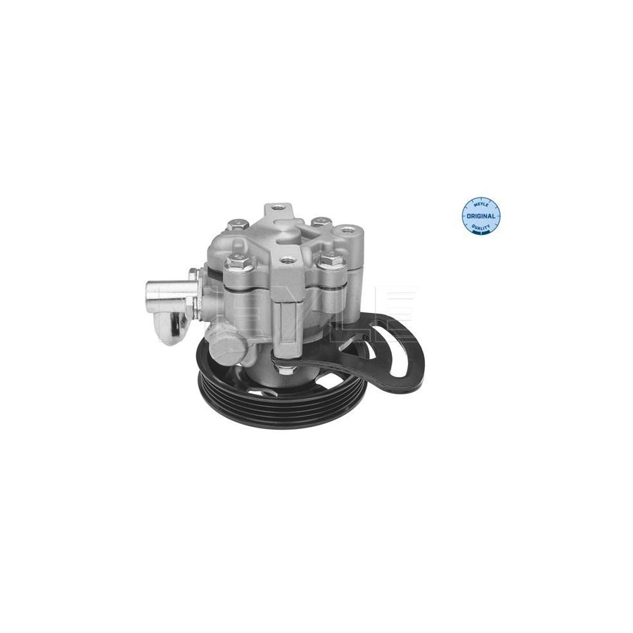 Meyle 29-14 631 0003 Power Steering Pump For Chevrolet Spark (M300)