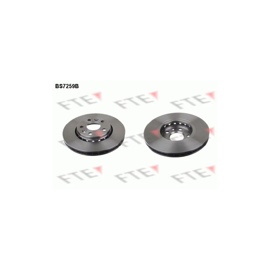 Fte 9082402 Brake Disc | ML Performance UK Car Parts