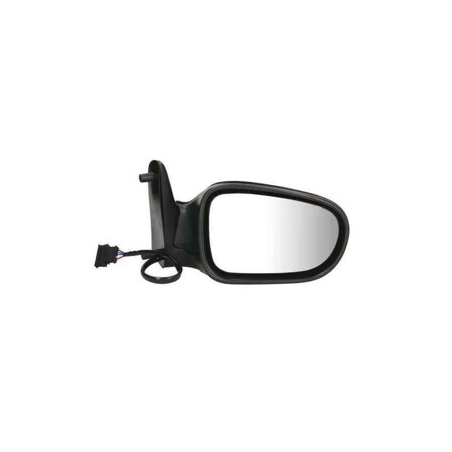 Blic 5402-04-1121131P Wing Mirror