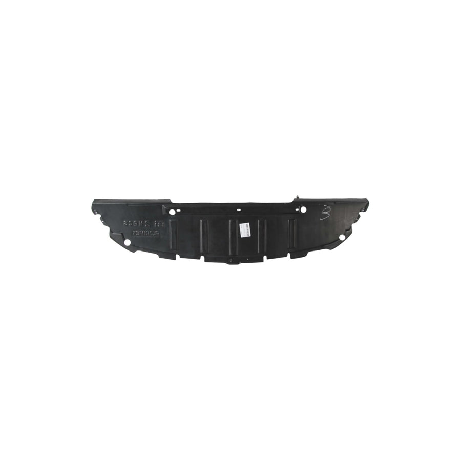 Blic 6601-02-6042880P Skid Plate