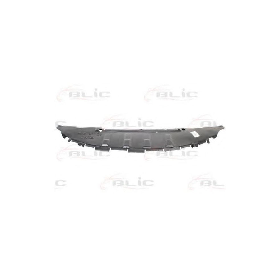 Blic 6601-02-6041881P Engine Cover For Renault Megane