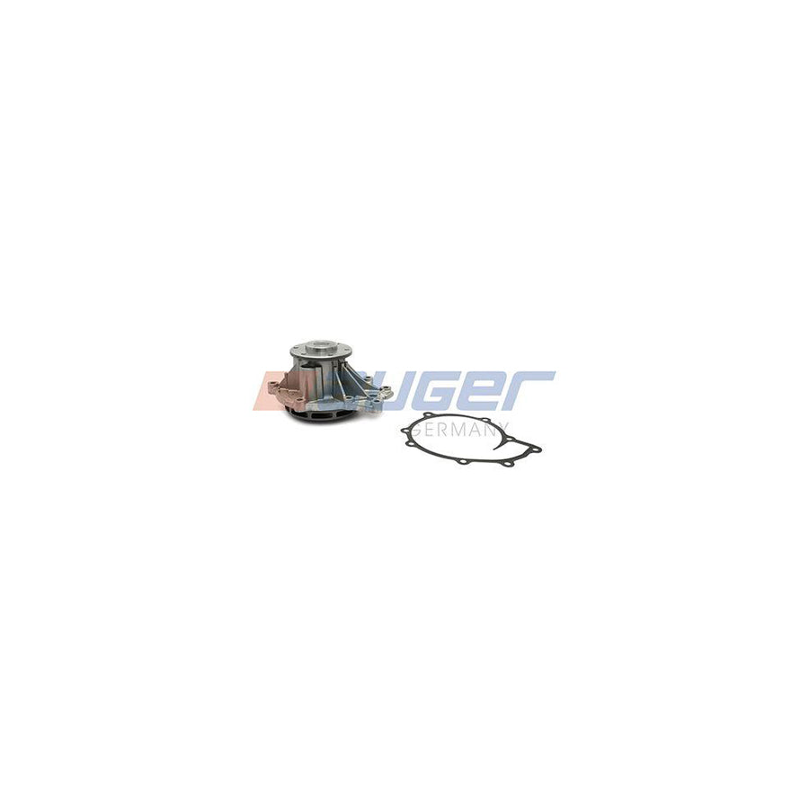 Auger 114693 Water Pump