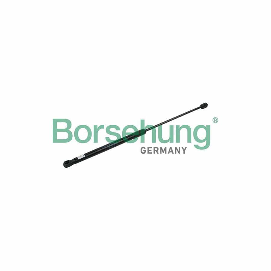 Borsehung B14203 Tailgate Strut For Skoda Rapid