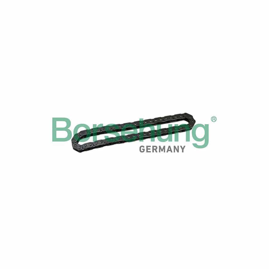 Borsehung B1C028 Timing Chain