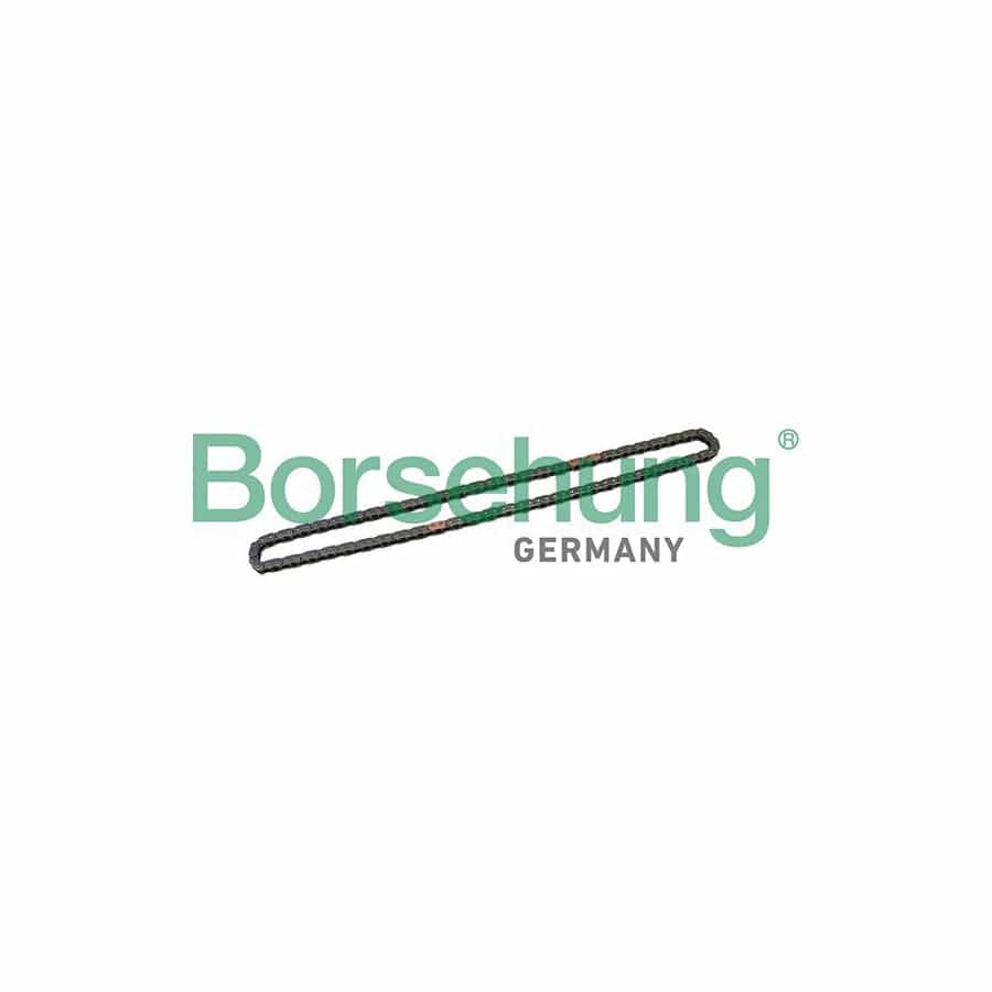 Borsehung B1C025 Timing Chain