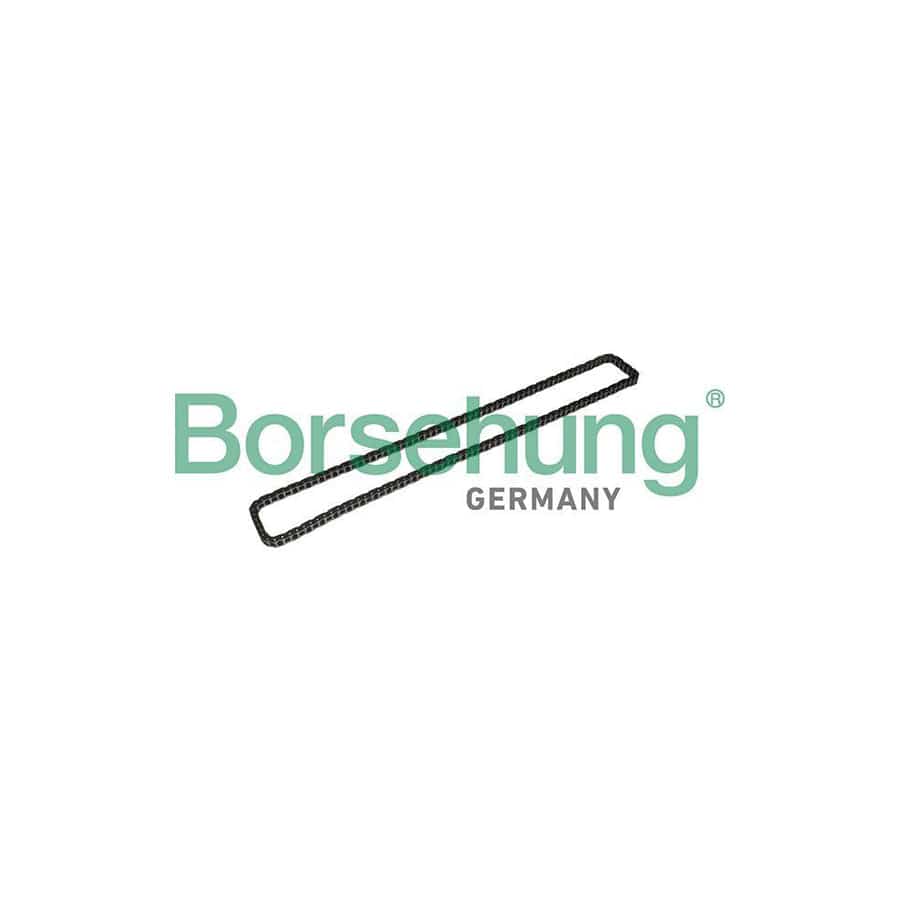 Borsehung B1C024 Timing Chain