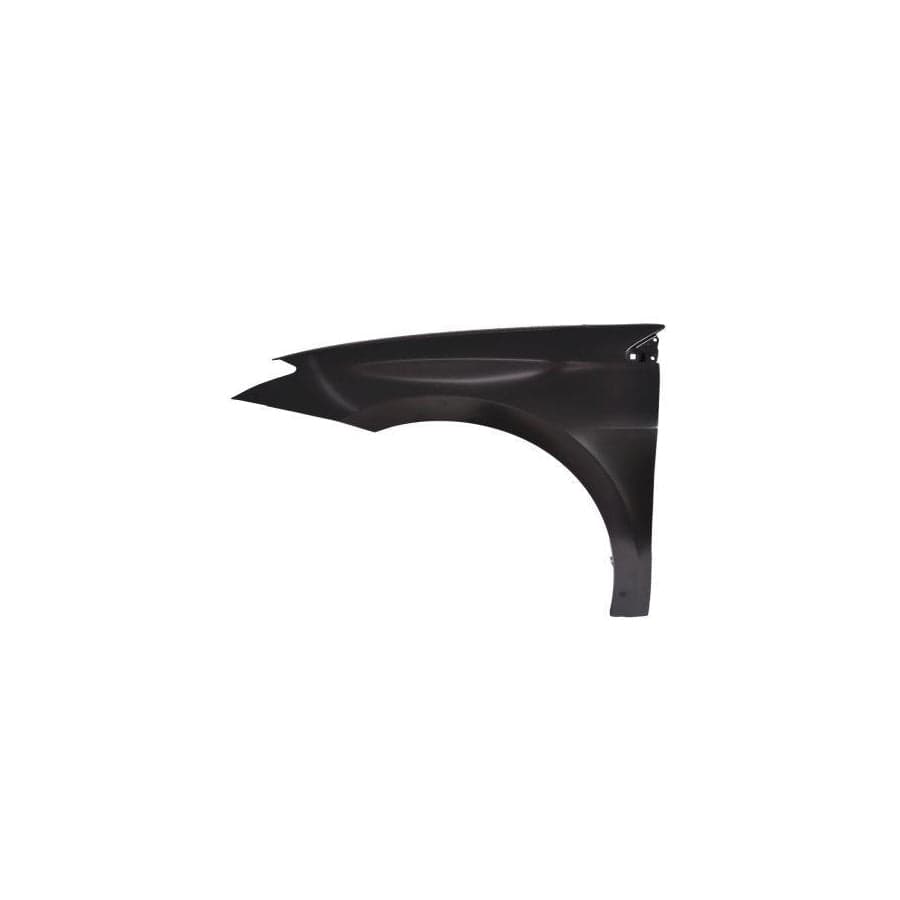 Abakus 04223201 Wing Fender For Renault Laguna | ML Performance UK