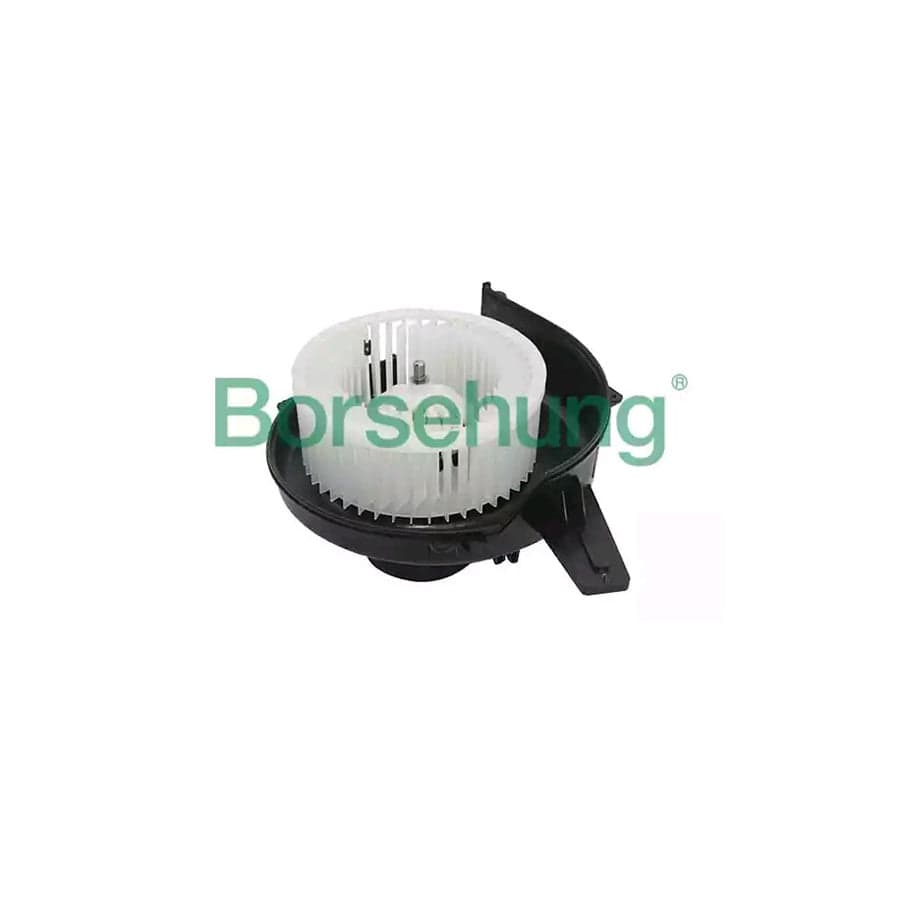 Borsehung B14596 Interior Blower