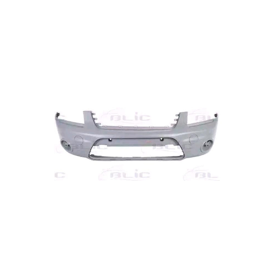 Blic 5510-00-2507908Q Bumper