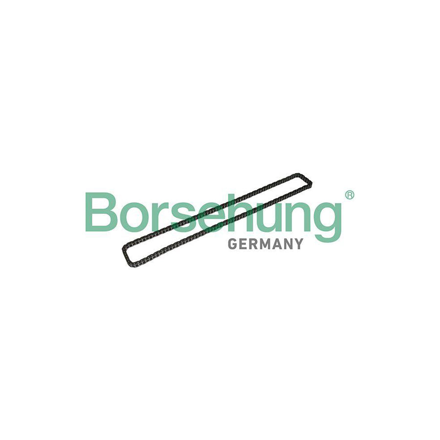 Borsehung B1C023 Timing Chain