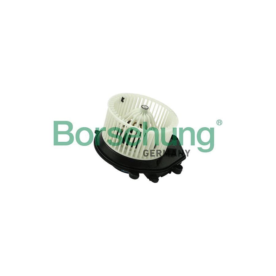 Borsehung B14595 Interior Blower