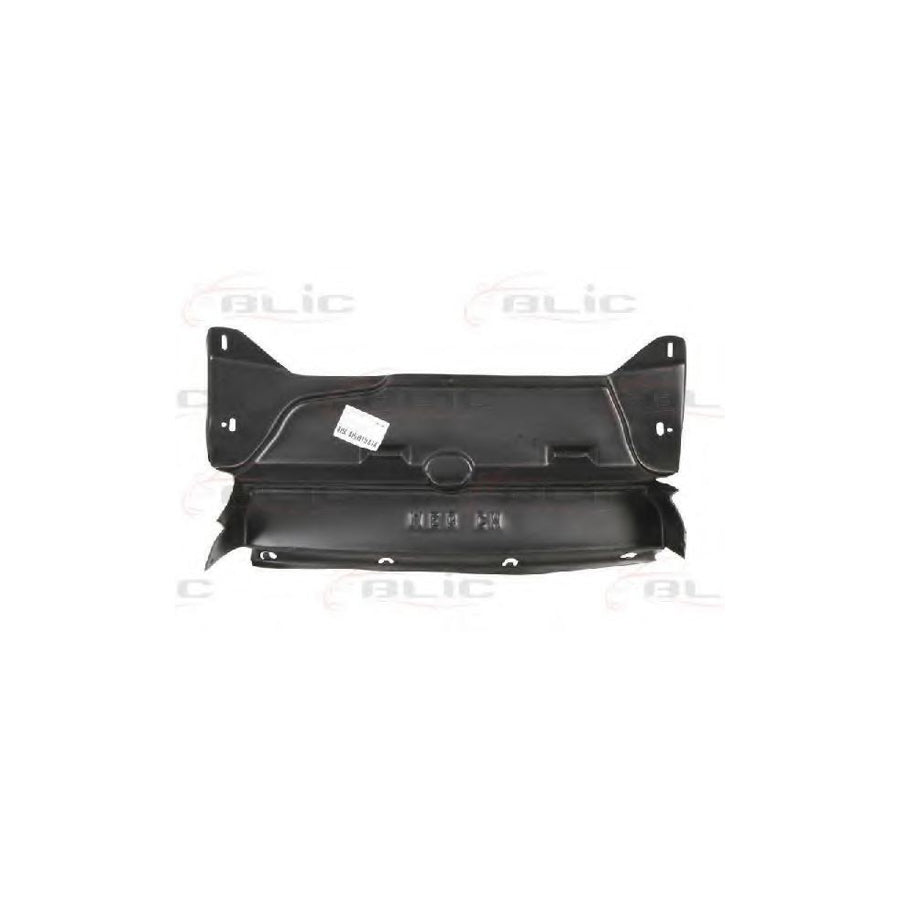 Blic 6601-02-6037880P Engine Cover For Renault Megane