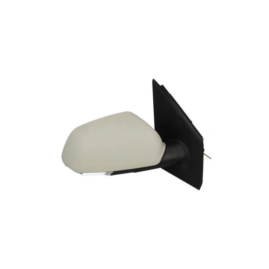 Blic 5402-04-1191111 Wing Mirror For VW Polo