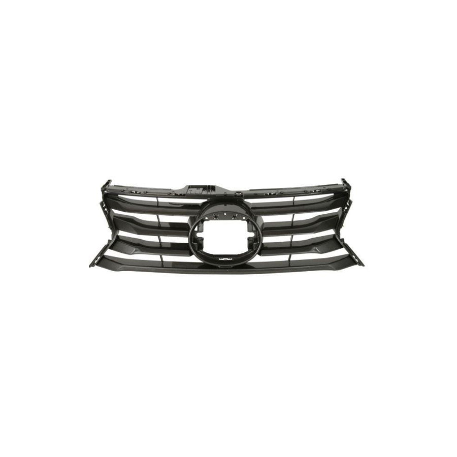 Blic 6502-07-8173990P Radiator Grille