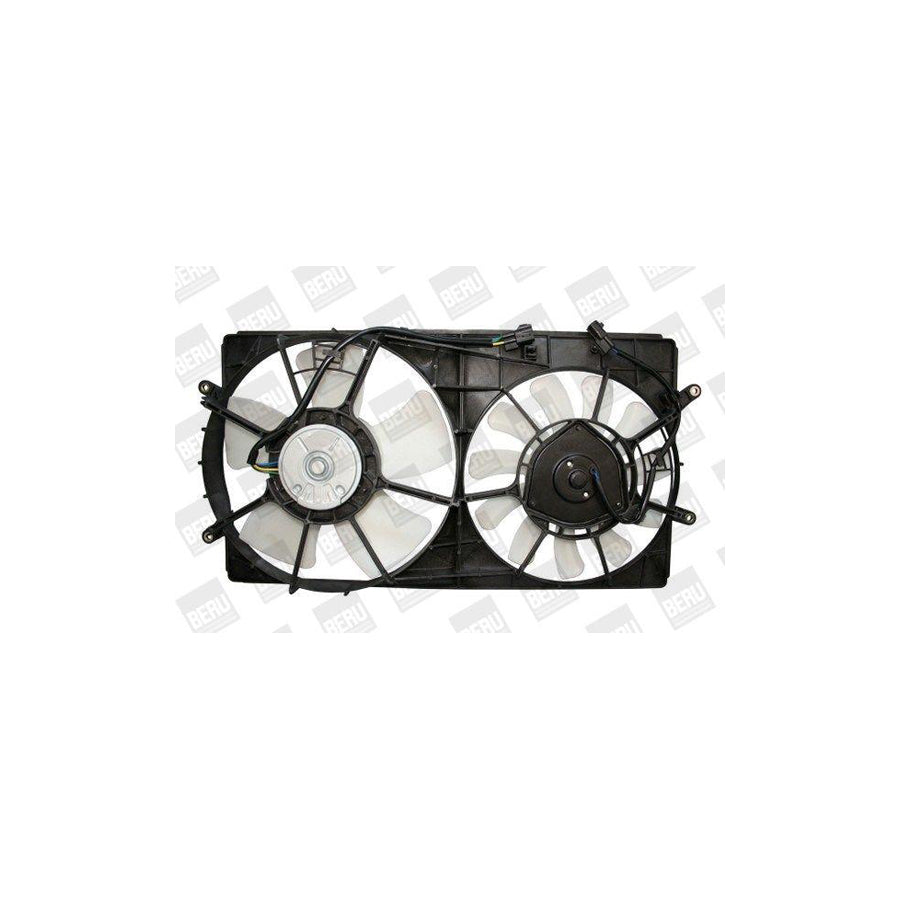 Beru LE701 Fan, Radiator