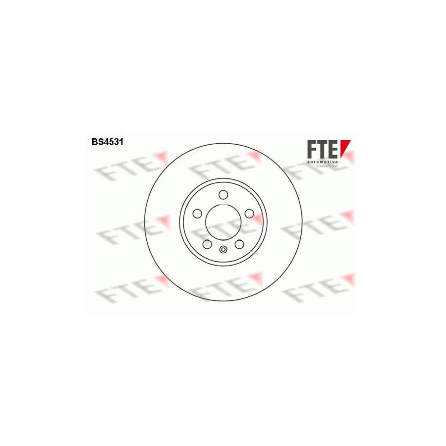 Fte BS4531 Brake Disc | ML Performance UK Car Parts