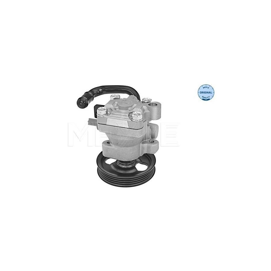 Meyle 37-14 631 0014 Power Steering Pump For Hyundai Getz (Tb)